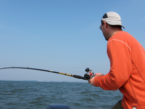Walleye Charter Lake Erie